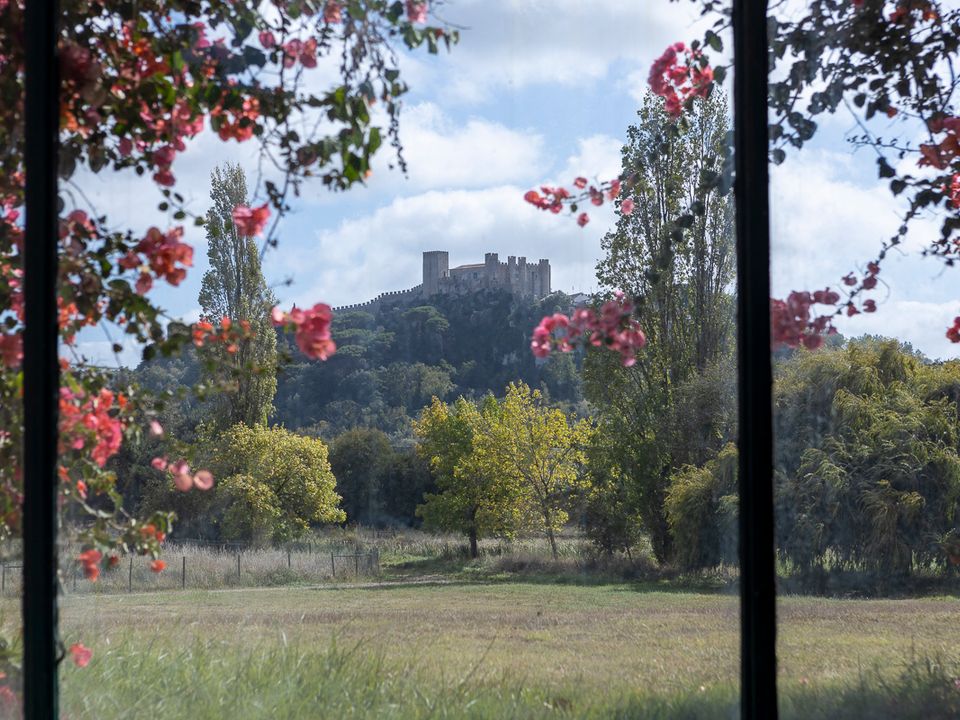 Farm i Obidos, Leiria - foto 1